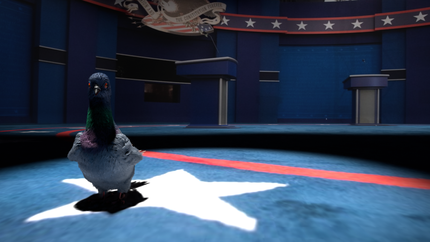 pigeon politics debate comment